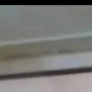 ������, 31 ���, ���