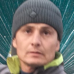 ������, �����������, 35 ���