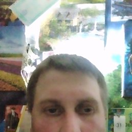 , 41, 