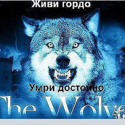 ����, �����, 53 ����