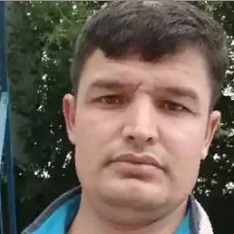 �����, ���������, 37 ���