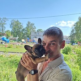 �����, �����, 42 ����