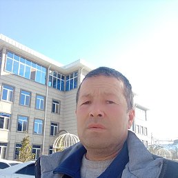 , 53 , 