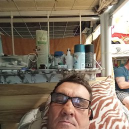 ������, ������-��-����, 51 ���