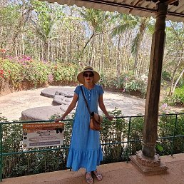 �����, ������, 56 ���