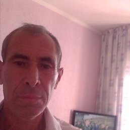 ��������, 51 ���, ���������