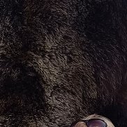 , 45 , 