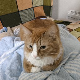 ���� �������, ������� �����, 50 ��� - ��������� 11 ������ 2026