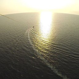 ���� �������, ��������, 51 ��� - ��������� 14 ������� 2026