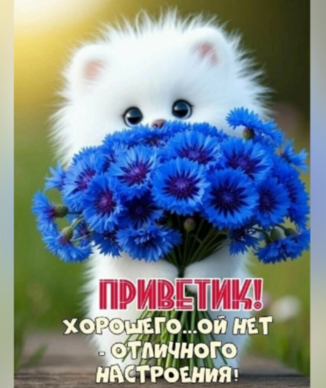  (   ) - 9  2025  15:00