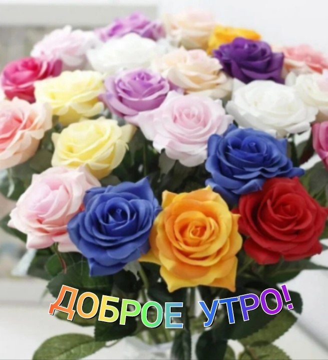   ,    . - 19  2025  21:40