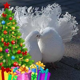 ������, ������, 58 ���