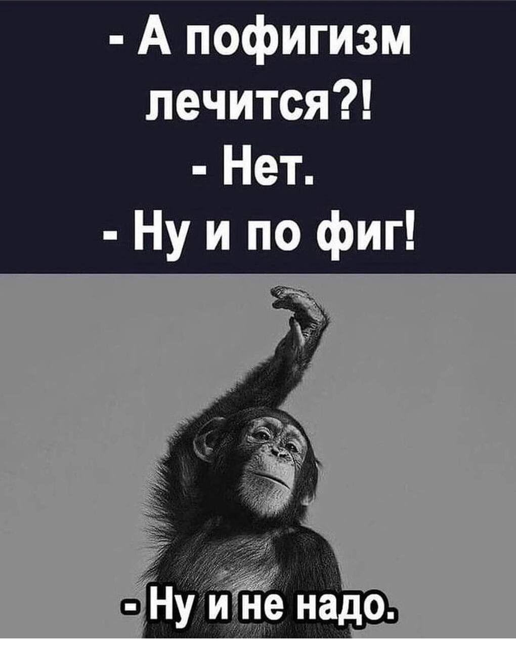 ***Victoria Viktorovna*** - 14  2023  06:06