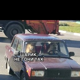 , , 37 
