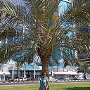 ��� 03,2025 �� ������� ���� ����������