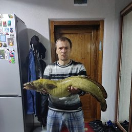 , 49 , 
