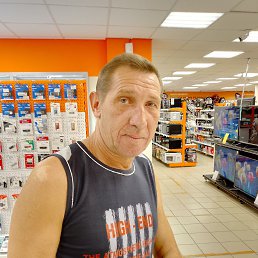 , 54, 