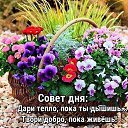 ���� �����, ����� - ��������� 17 ��� 2026 � ������ ������ ��������