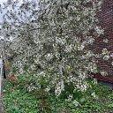 ���� �����, ������, 52 ���� - ��������� 2 ���� 2025 � ������ ���� ����������