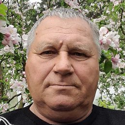 �������� �����, �������������, 67 ���