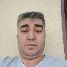 , 41, 