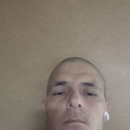 , 41, 