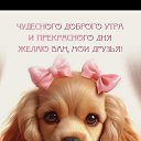 ���� ����, ������������, 50 ��� - ��������� 18 ����� 2024 � ������ ���� ����������
