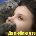 ���� ����������, ���������, 59 ��� - ��������� 26 ���� 2026 � ������ ������ ��������