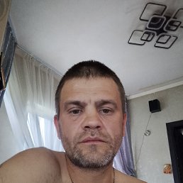 ���� ������, ������, 43 ���� - ��������� 1 ���� 2026