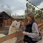 ������, 21 ���, ���������