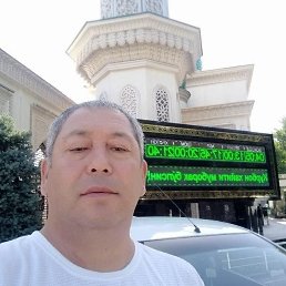 , 51, 
