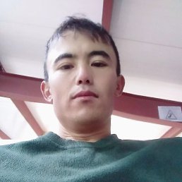 , 29, 