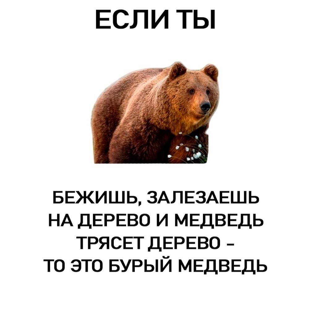 ,    - 2