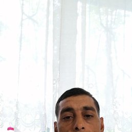 , 42, 
