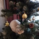 ���� �������, ���������, 53 ���� - ��������� 2 ����� 2024 � ������ ���� ����������