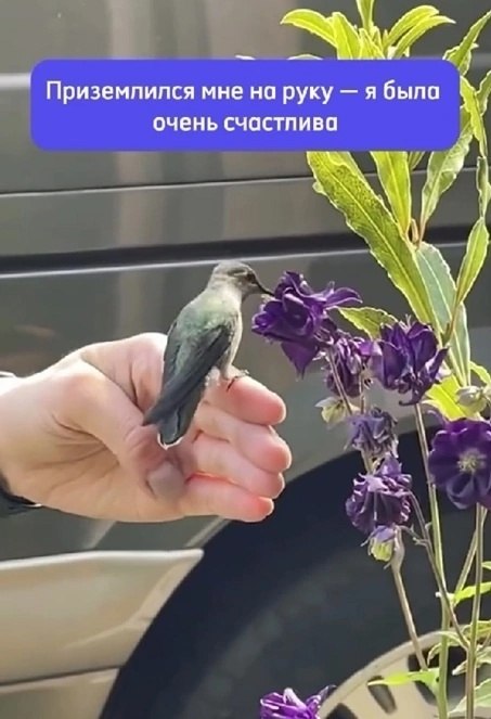   - 2