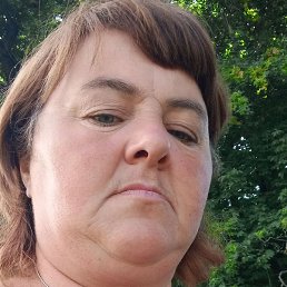 ����, ������, 41 ���