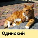 ���� ������, ����� - ��������� 9 ������ 2026