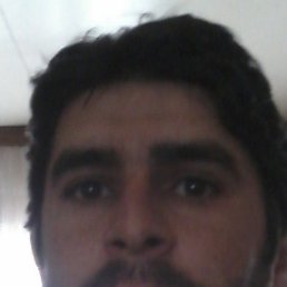 , 40, 