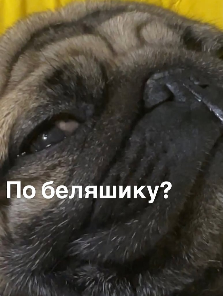 � ����... - 30 ������ 2026 � 10:40 - 3