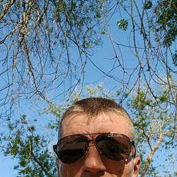 ��������, 47 ���, ������