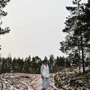 , 43 , 