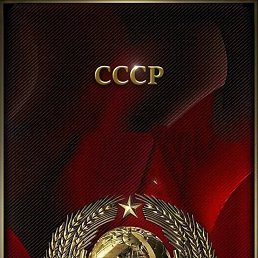  , , 56  -  16  2025