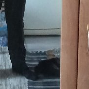 ���������, 44 ����, ������