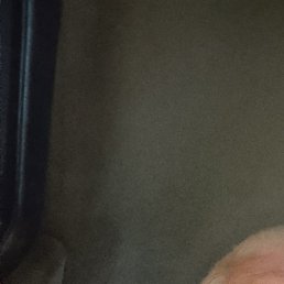 ���������, �����-���������, 53 ����