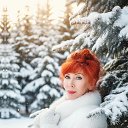 ���� ��������, ������������ - ��������� 17 ������ 2026 � ������ ���� ����������