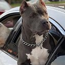 ���� Marina, �������, 56 ��� - ��������� 29 ������ 2023 � ������ ���� ����������
