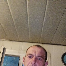  , 37 , --