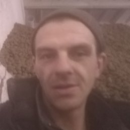 ���������, �������, 41 ���