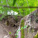 ���� ����, ���������, 41 ��� - ��������� 31 ���� 2024